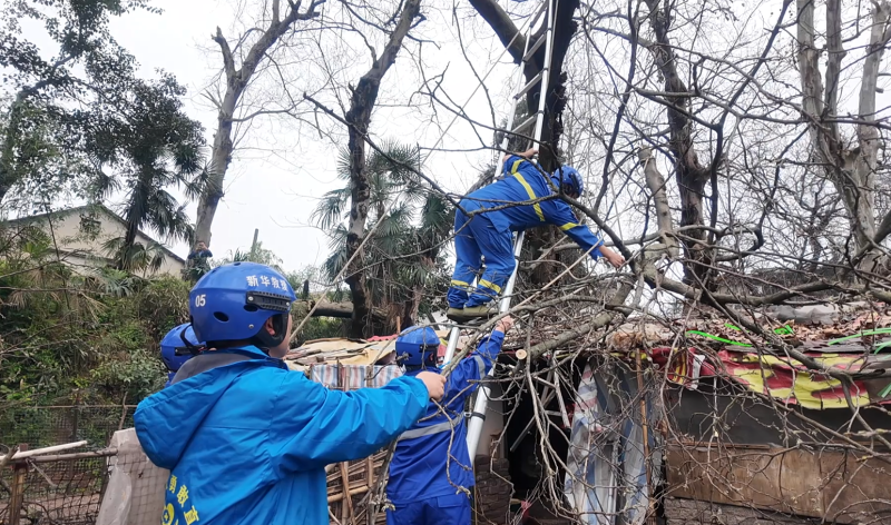 ��ľ����ѹ�� �ҽ������۾��˾�Ԯ���Ե���