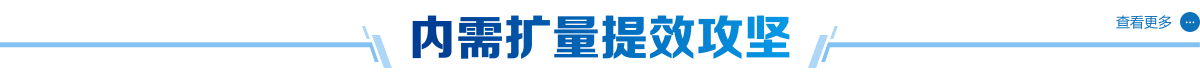 内需扩量体效攻坚