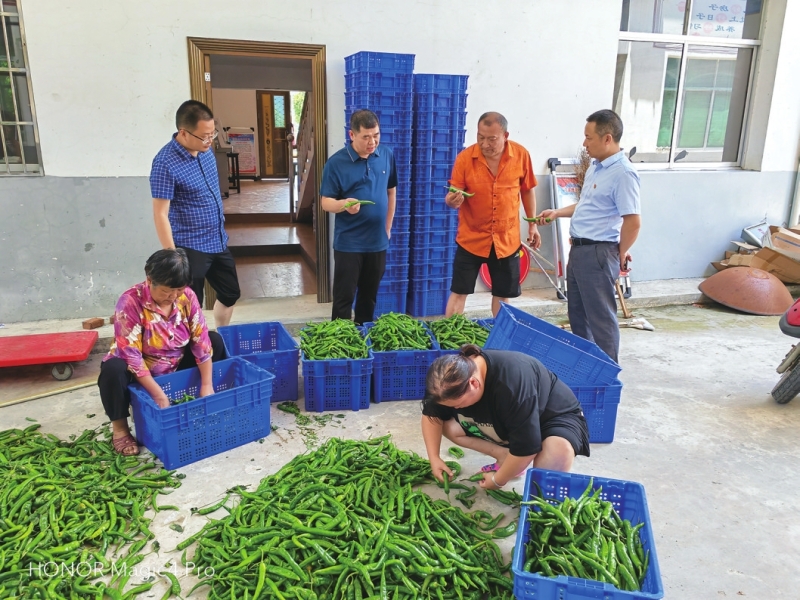 ��������ȴ����