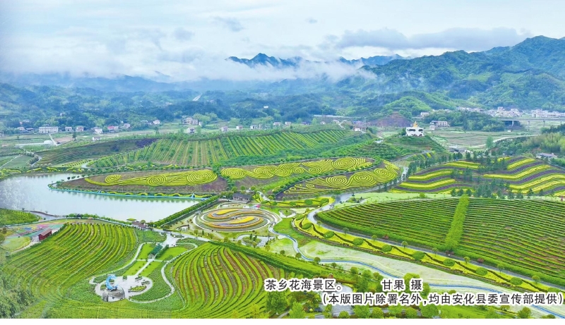 ɽ��ޱ�������