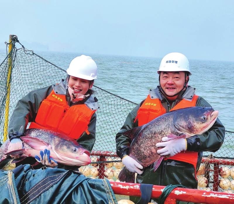 ���桱Ծ��ͥ ˮ����佭