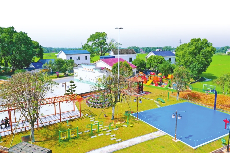 ��Ұ֯���� ɽ��չ����