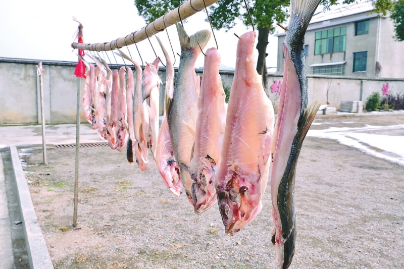 һ��Ѭ�� ��Ժ��ζ