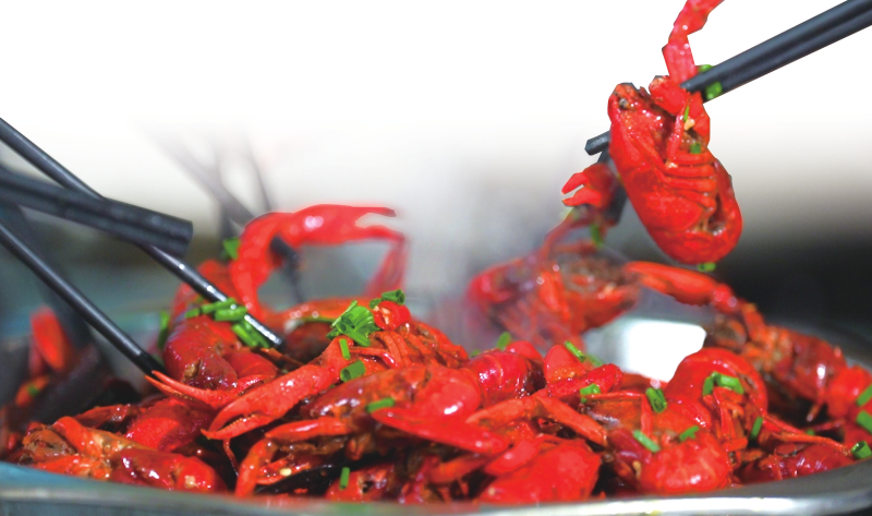 ������ҹ����������ʡ�����ζ