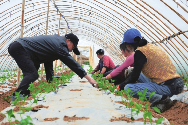 ���������ֳ��á�Ǯ����