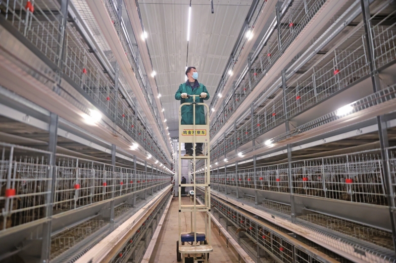 4����Ѽס�����ǻ۹�Ԣ��