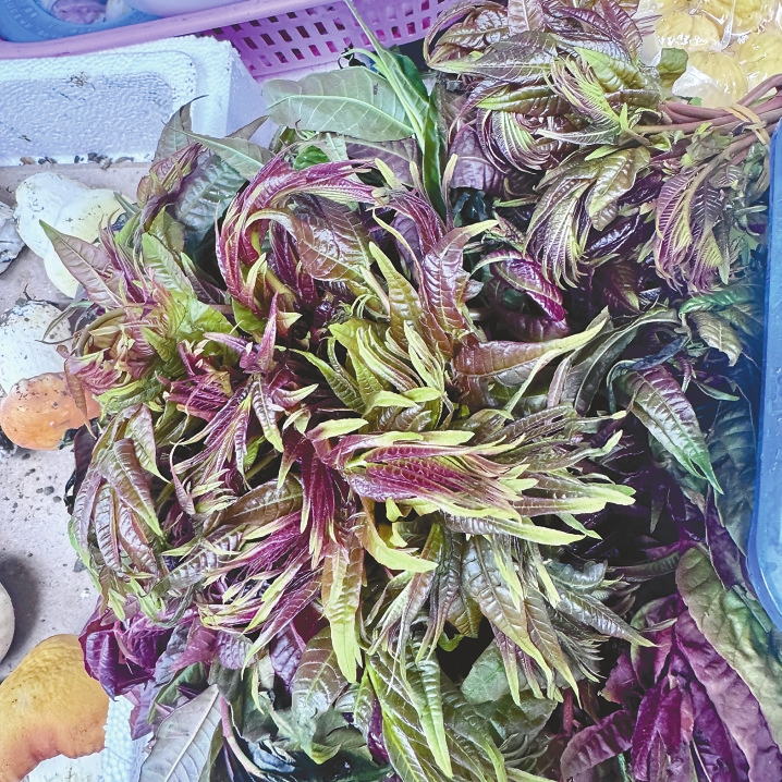 ���Ĵ����޶��������ʡ�