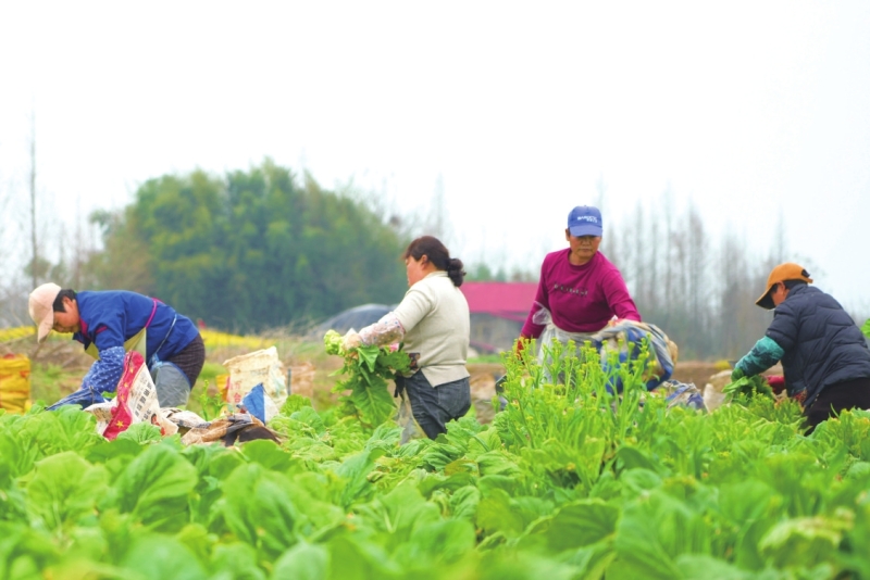 ��ʥ���� �����ﳤ���¸��� ������ۏ������·