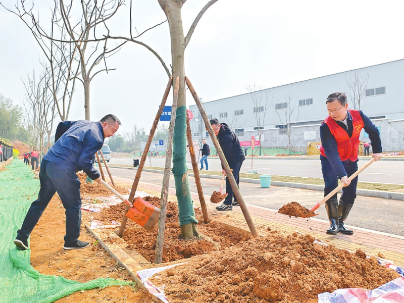 ��Ⱥֲ�����̡�������̬԰��