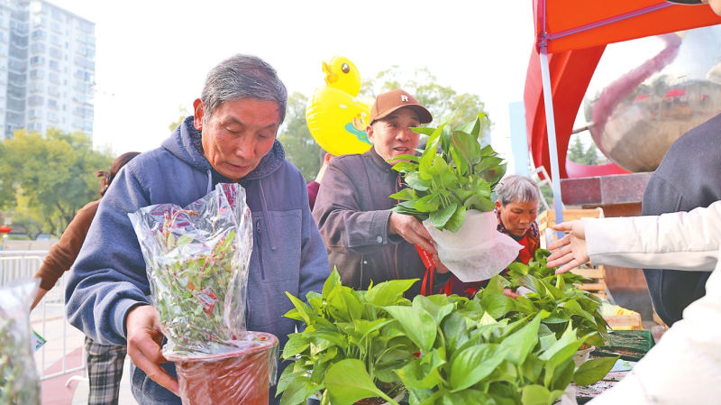 ���е�25�������̻�����Ļ