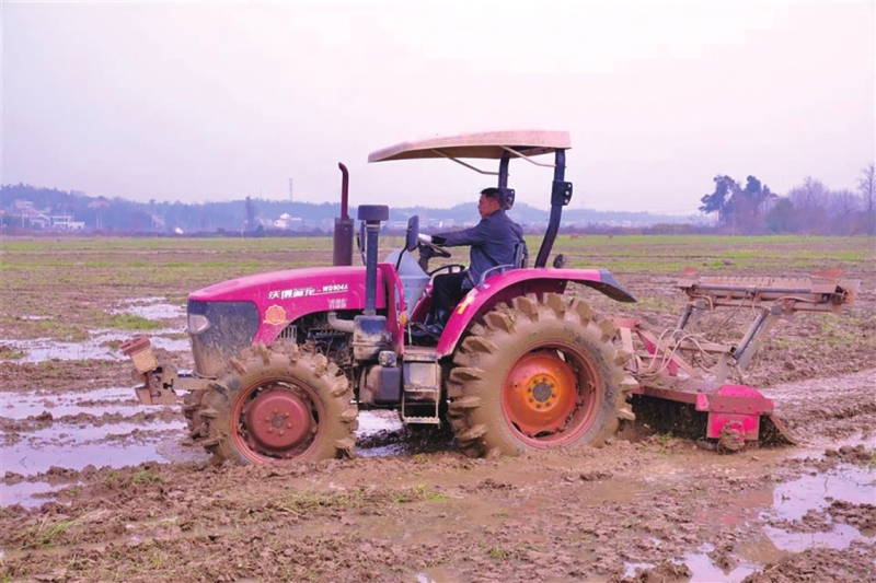 ������ʱ��  ���﷭��æ