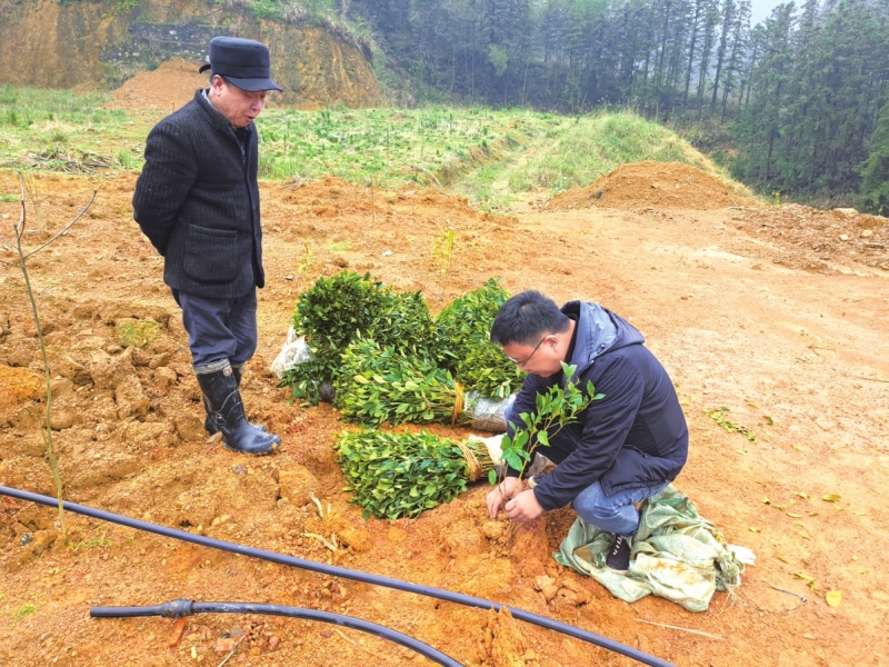 �ʷ�� �������ֳ��¸���·