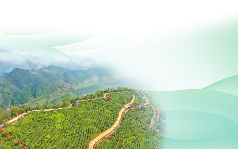 ������Ϫ��ͨϪ�Ŵ���Ϫ���԰��