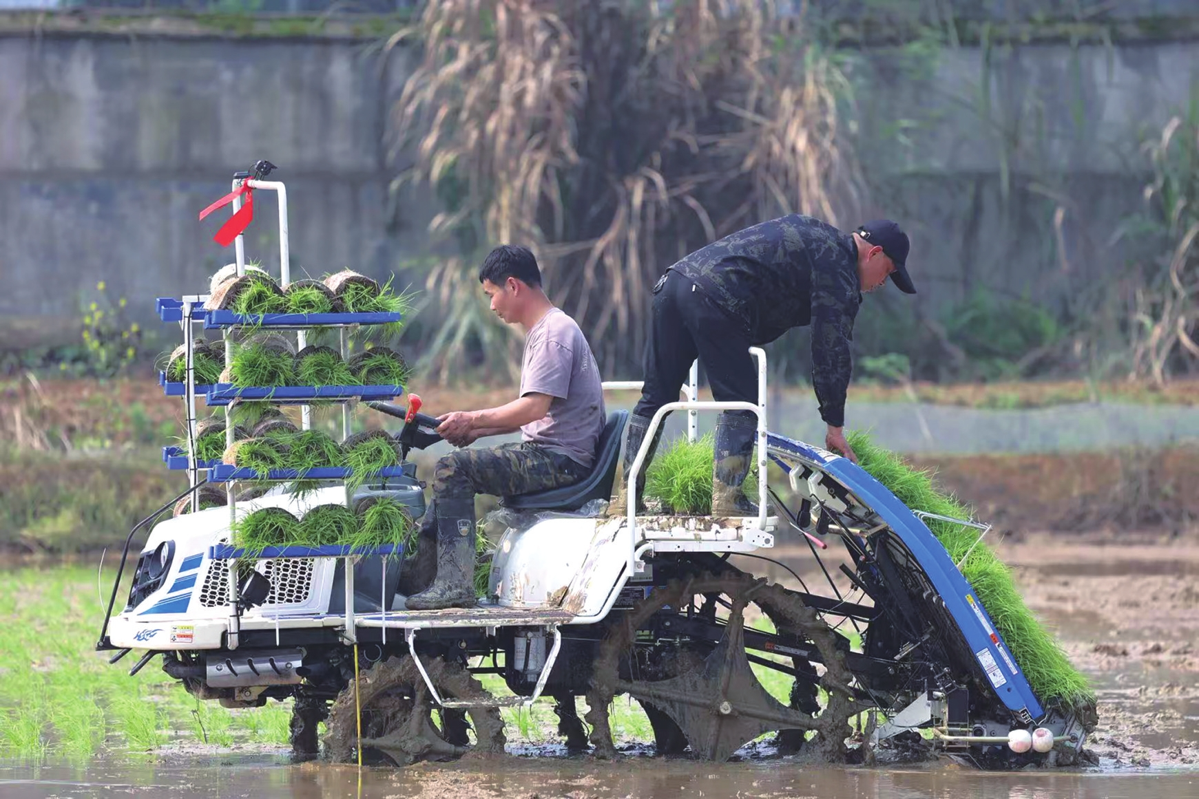 ũ���ֲ������ٲ�����������