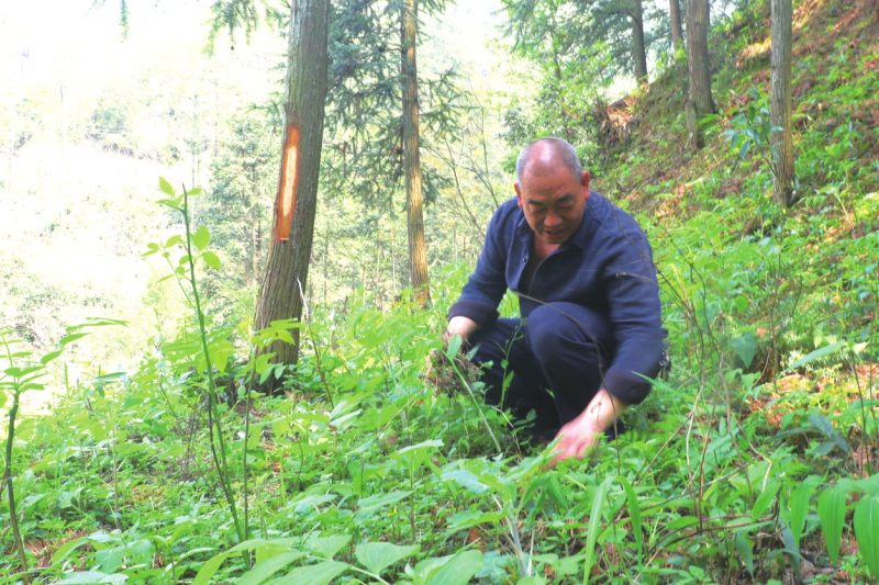 �����ֳ�����̽��������������·��