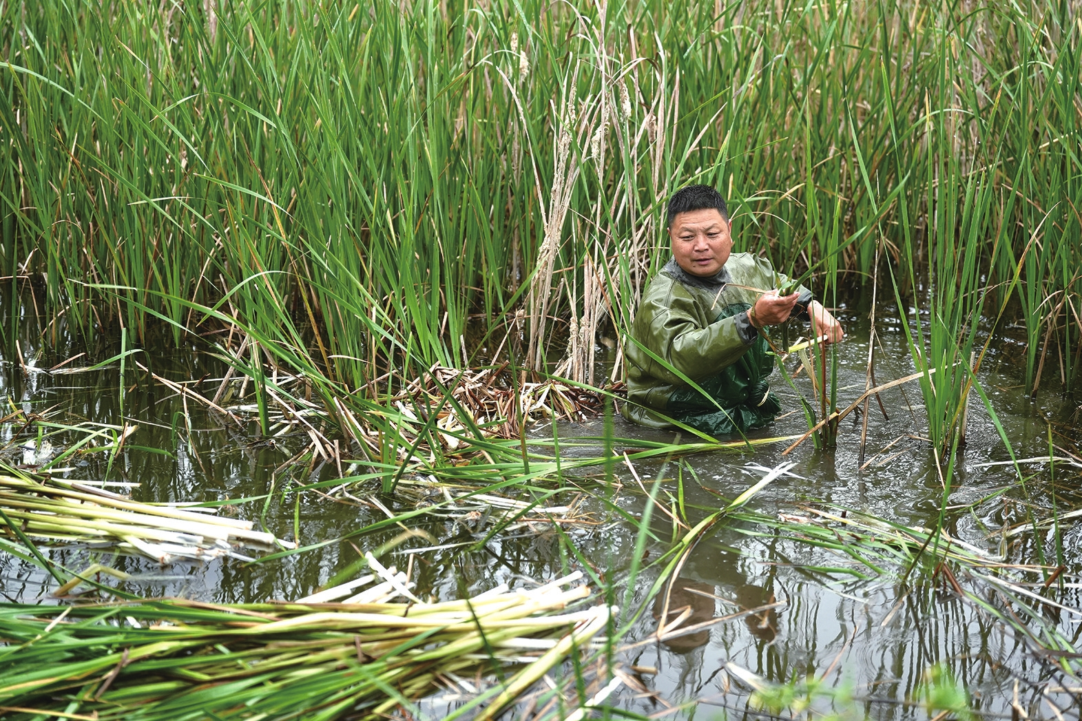 �����ժ�ΰ���