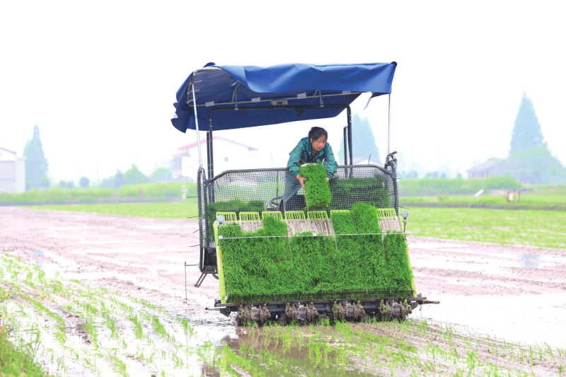 �Ƽ�����������ũ���������