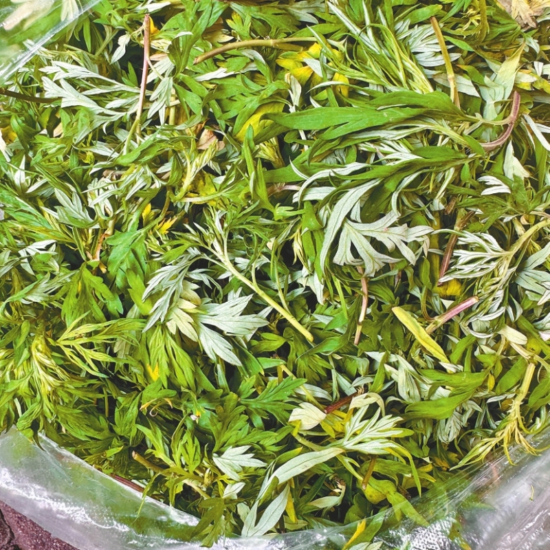 ѰһĨ��Ұ���