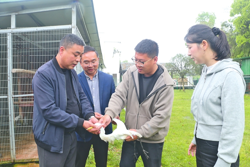 �ػ�Ұ�����������г��̬