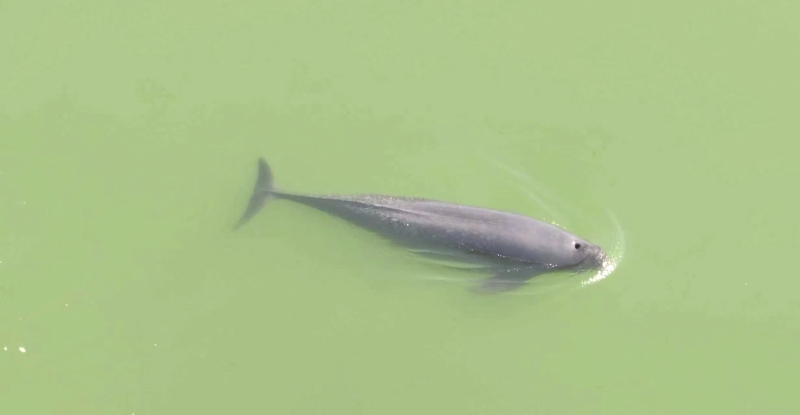 �������佭��ɳ����ˮ����Ϸ